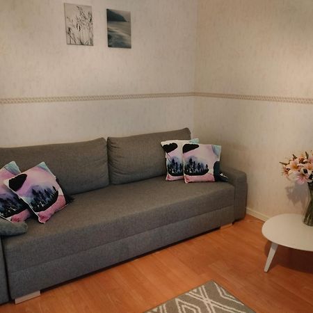 Spacious Apartment With Balcony And Free Wifi Rovaniemi Extérieur photo