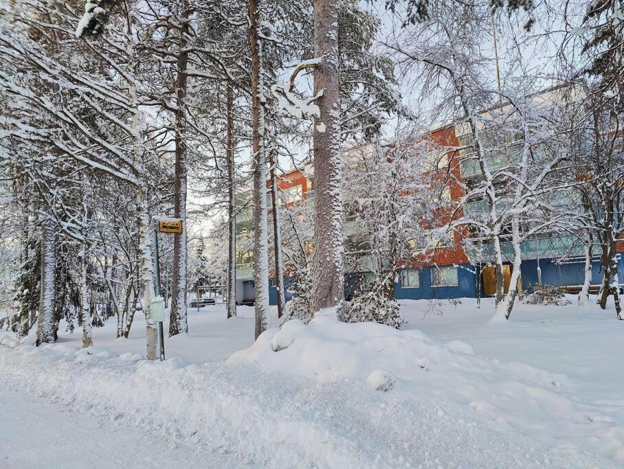 Spacious Apartment With Balcony And Free Wifi Rovaniemi Extérieur photo